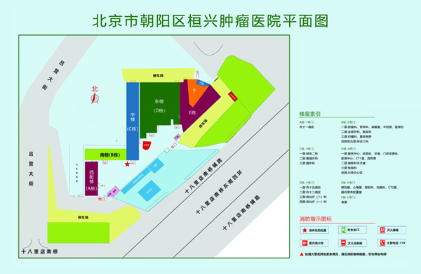 啊～爽大激情抽插视频北京市朝阳区桓兴肿瘤医院平面图